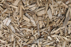 biomass boilers Browns Wood